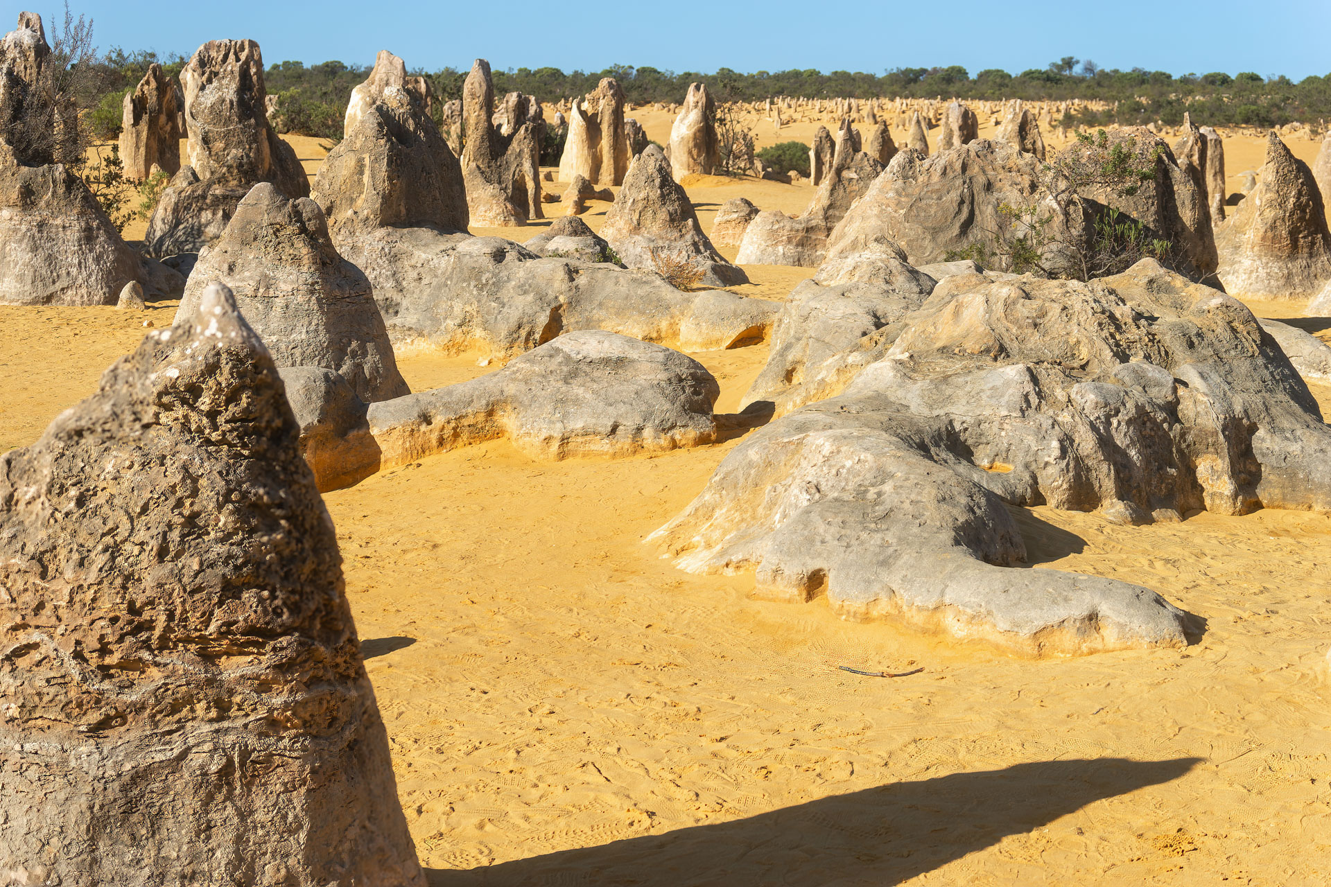 The Pinnacles Desert